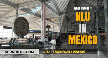 Airport Navigation: Finding NLU in Mexico