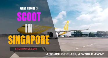 Scoot's Singapore Airport Hub: Where is it?