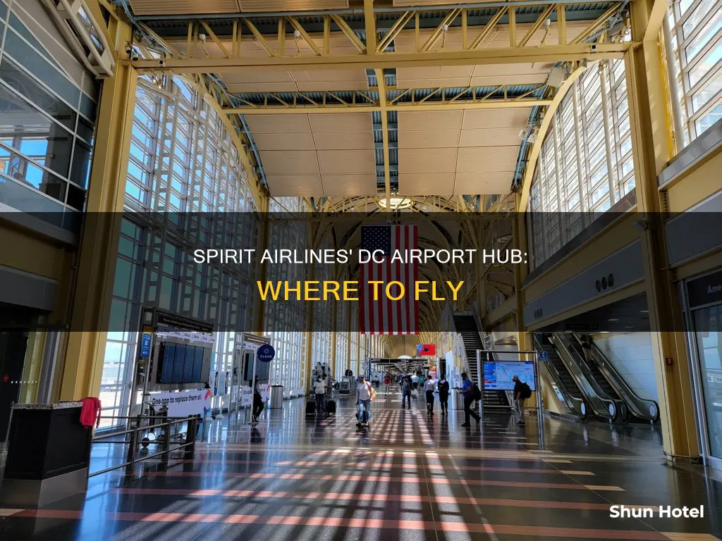 what airport is spirit in dc