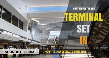Exploring the Terminal: A Guide to the Airport Setting