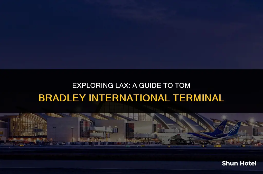 what airport is tom bradley terminal