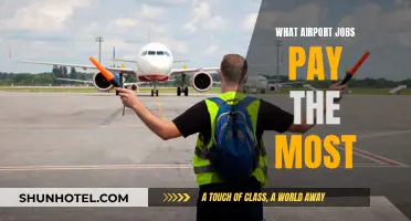 Lucrative Airport Careers: Highest-Paying Jobs Available