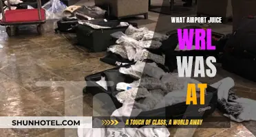 Juice WRLD's Final Hours: The Truth About His Last Airport Visit