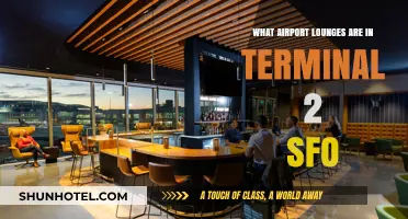 Exploring Terminal 2 SFO: A Guide to Airport Lounges