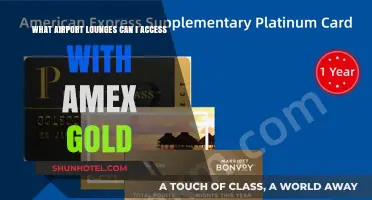 Airport Lounges: Amex Gold Access Explained