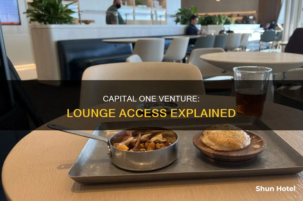 what airport lounges can i access with capital one venture