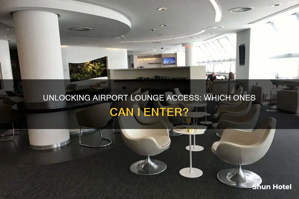 what airport lounges can i access