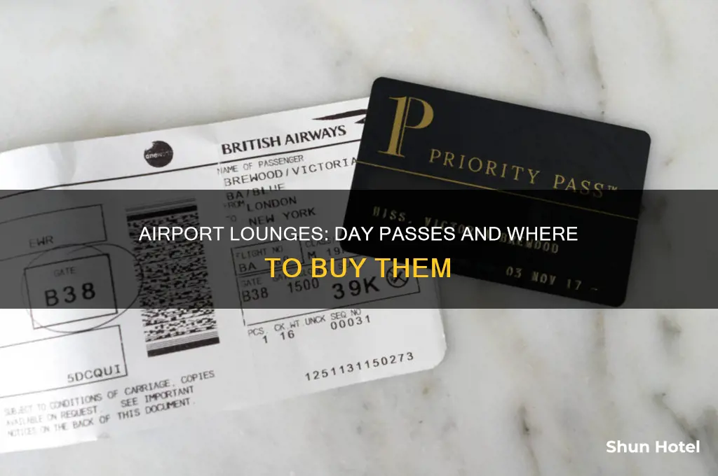 what airport lounges can you buy a day pass