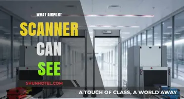 Airport Scanners: What Can They See?