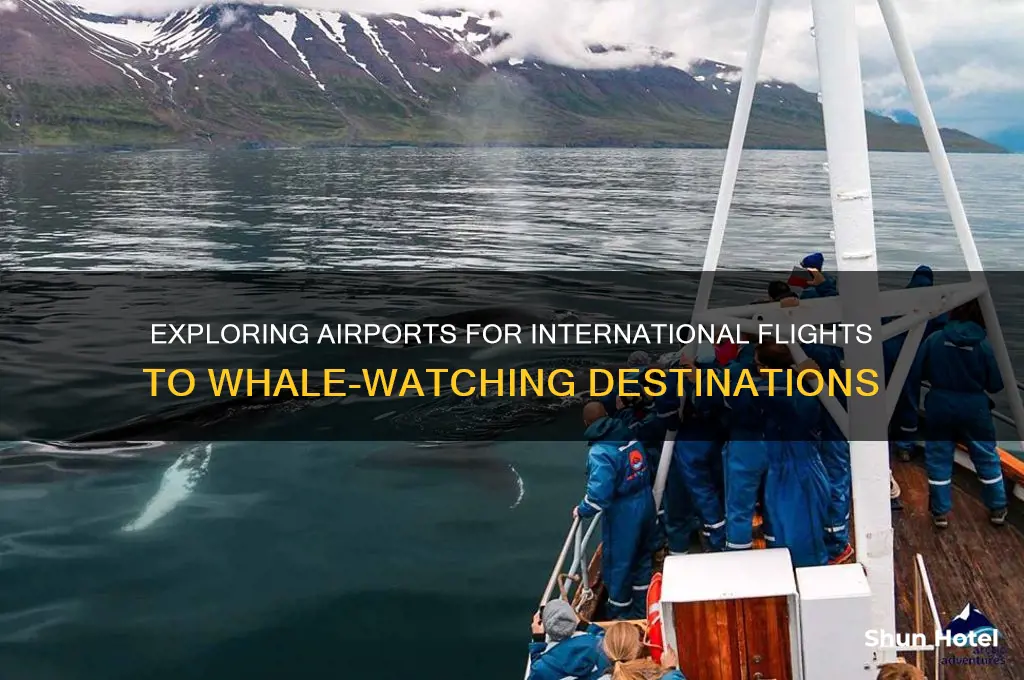 what airport serves international flights to whales