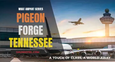 Tennessee Travel: Which Airport for Pigeon Forge?