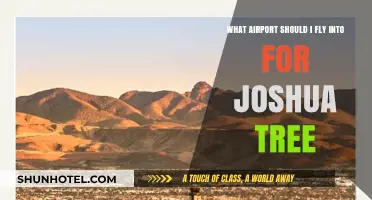 Best Airports for Joshua Tree: Your Ultimate Travel Guide