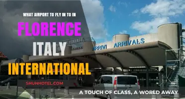 Best International Airport Options for Florence, Italy Travel Guide