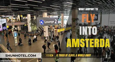 Best Airport Options for Flying into Amsterdam: A Traveler's Guide