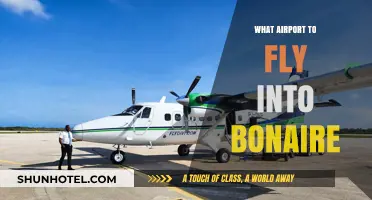 Best Airport for Bonaire: Your Ultimate Flight Guide to the Island