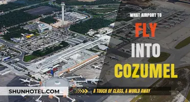 Best Airport Options for Flying into Cozumel: A Traveler's Guide