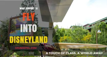 Best Airports for Flying to Disneyland: Your Ultimate Travel Guide
