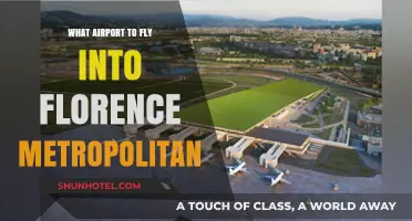 Best Airport Options for Visiting Florence Metropolitan Area