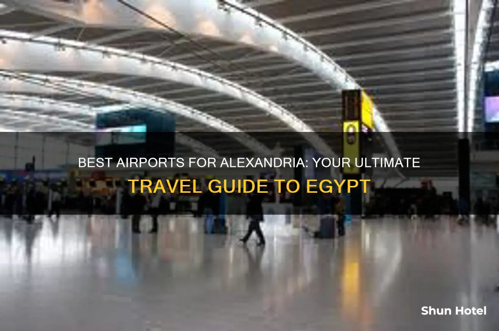 what airport to fly into for alexandira