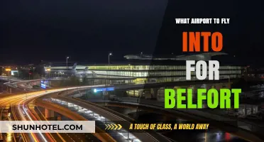 Best Airport Options for Traveling to Belfort, France: A Guide