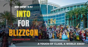 Best Airports for BlizzCon: Your Ultimate Travel Guide to Anaheim