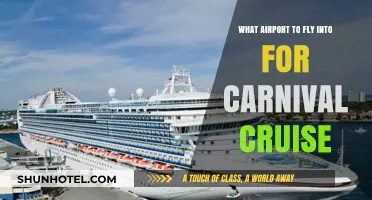 Best Airports for Carnival Cruises: Your Ultimate Pre-Voyage Flight Guide