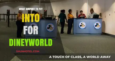 Best Orlando Airports for Easy Access to Disney World Magic