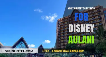 Best Airport for Disney Aulani: Your Ultimate Hawaii Travel Guide