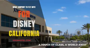 Best Airports for Visiting Disneyland California: A Travel Guide