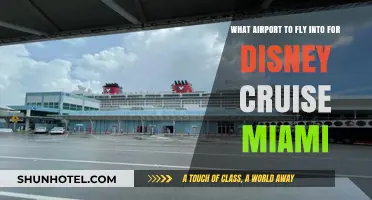 Best Miami Airport for Disney Cruise: Your Ultimate Travel Guide