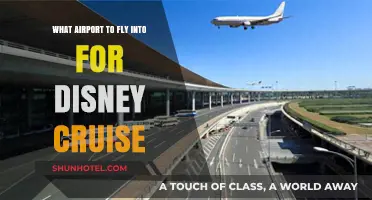 Best Airports for Disney Cruises: Your Ultimate Travel Guide