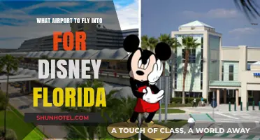 Best Florida Airports for Disney World: Your Ultimate Travel Guide
