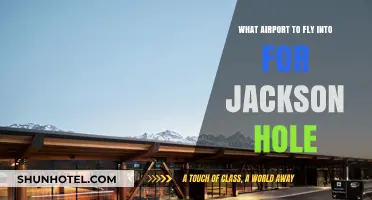 Best Airport Options for Visiting Jackson Hole: A Travel Guide