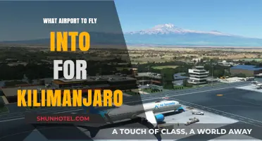 Best Airport Options for Climbing Kilimanjaro: A Traveler's Guide