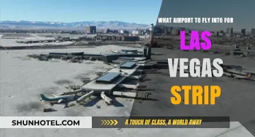 Best Airport Options for Easy Access to the Las Vegas Strip