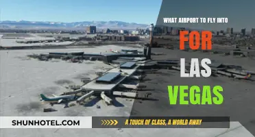 Best Airport Options for Your Las Vegas Vacation: A Guide