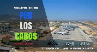 Best Airport Options for Flying into Los Cabos: A Travel Guide