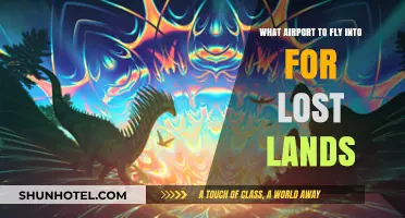 Best Airport Options for Traveling to Lost Lands Festival 2023