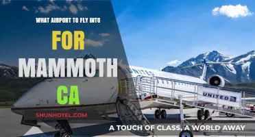 Best Airports for Mammoth, CA: Your Ultimate Travel Guide