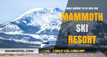 Best Airport Options for Mammoth Ski Resort: Your Ultimate Travel Guide