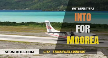 Best Airport Options for Flying into Moorea: A Traveler's Guide