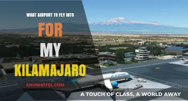 Best Airport Options for Your Kilimanjaro Trek: A Quick Guide