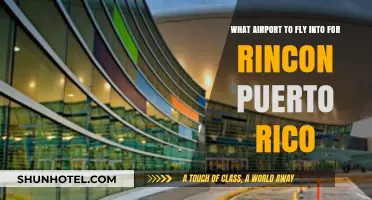 Best Airport Options for Traveling to Rincon, Puerto Rico