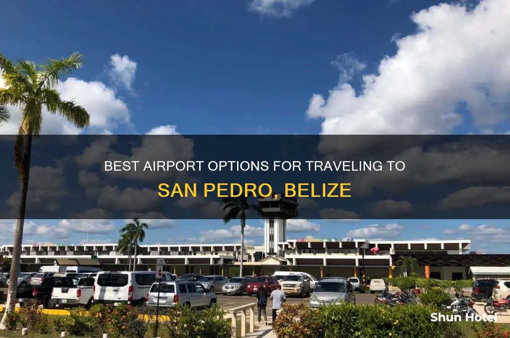 what airport to fly into for san pedro belize