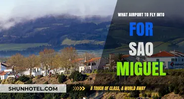 Best Airport for São Miguel: Your Ultimate Azores Travel Guide