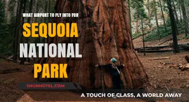 Best Airports for Sequoia National Park: Your Ultimate Travel Guide