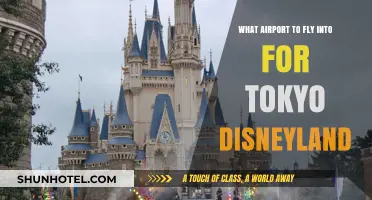 Best Airports for Tokyo Disneyland: Your Ultimate Travel Guide
