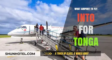 Best Airports for Tonga Travel: Your Ultimate Flight Guide