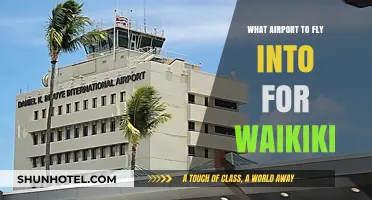 Best Airport Options for Easy Access to Waikiki Beach