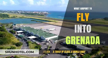 Best Airport for Grenada Travel: Your Ultimate Flight Guide